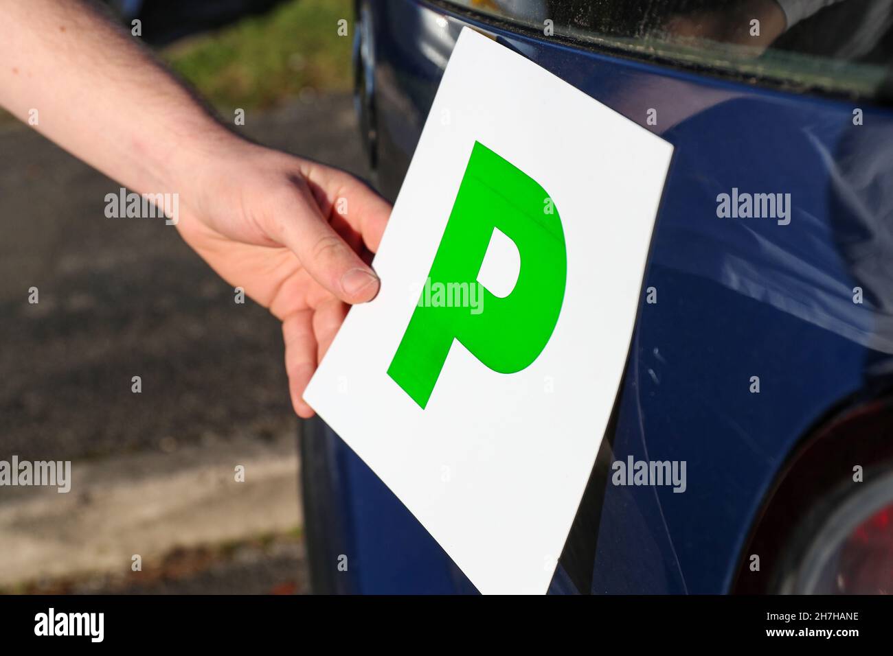 Un nuevo joven conductor poniendo P placas en su coche en el Reino Unido. Foto de stock