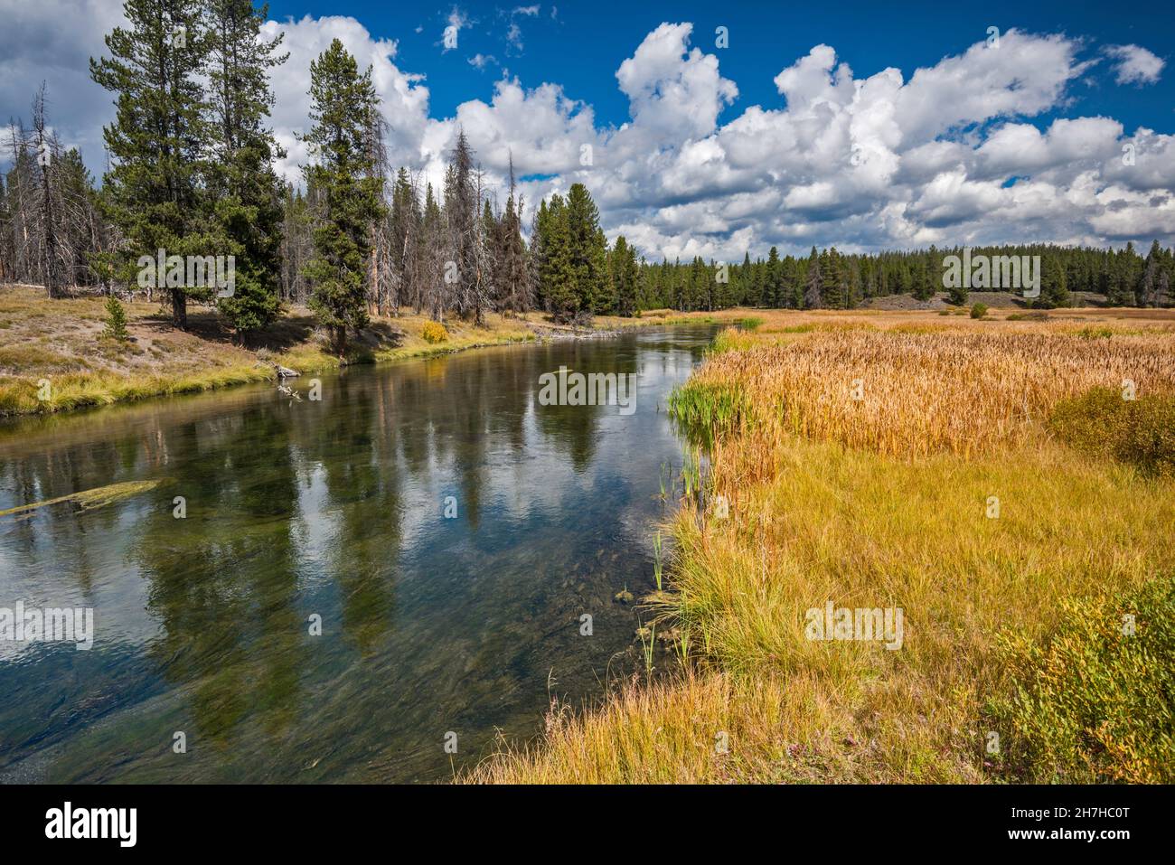 Grassy Lake Road Wyoming , Grassy Lake Road, Near Grand Teton Park – XIJMH