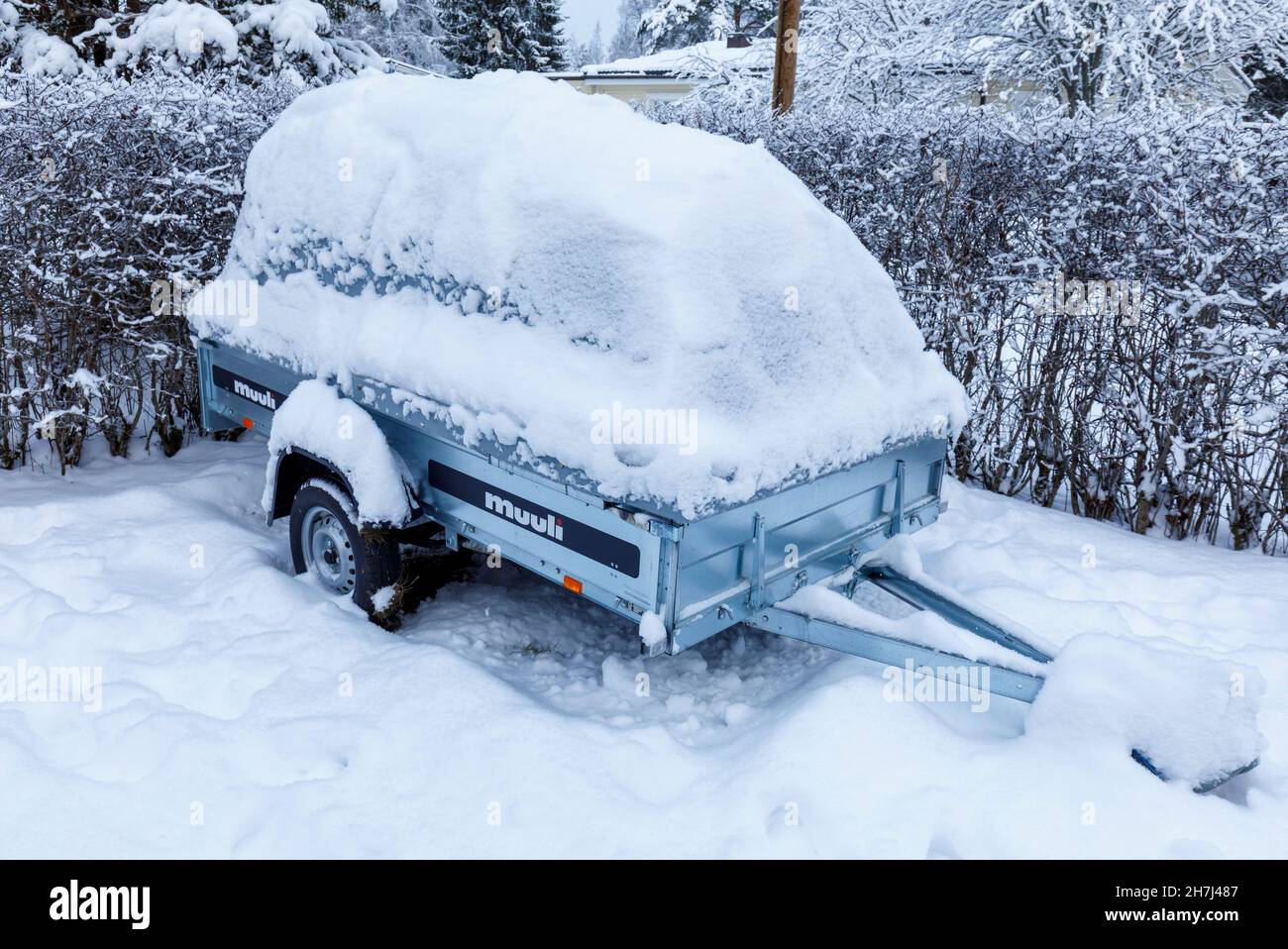 Tráiler de Muuli finlandés sobre la nieve en invierno , Finlandia Foto de stock