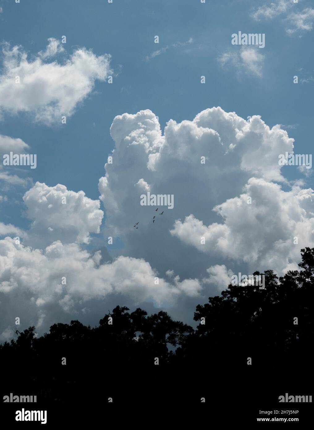 Hermosas formaciones de nubes por la tarde sobre la ciudad de Alachua, en el norte de Florida. Foto de stock