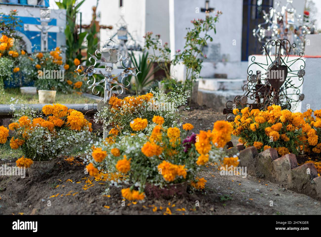 Tumbas adornadas con flores de cempasuquil marigold para la celebración