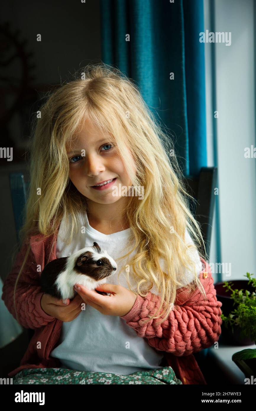 Una niña rubia dulce de 5 a 6 años con su mascota guinae cerdo Foto de stock