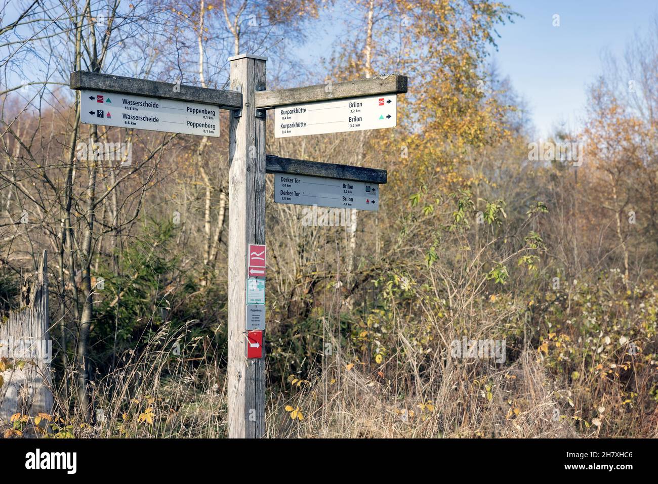 Señal direccional de madera con diferentes rutas de senderismo en el bosque de Sauerland alemán cerca de Brilon Foto de stock