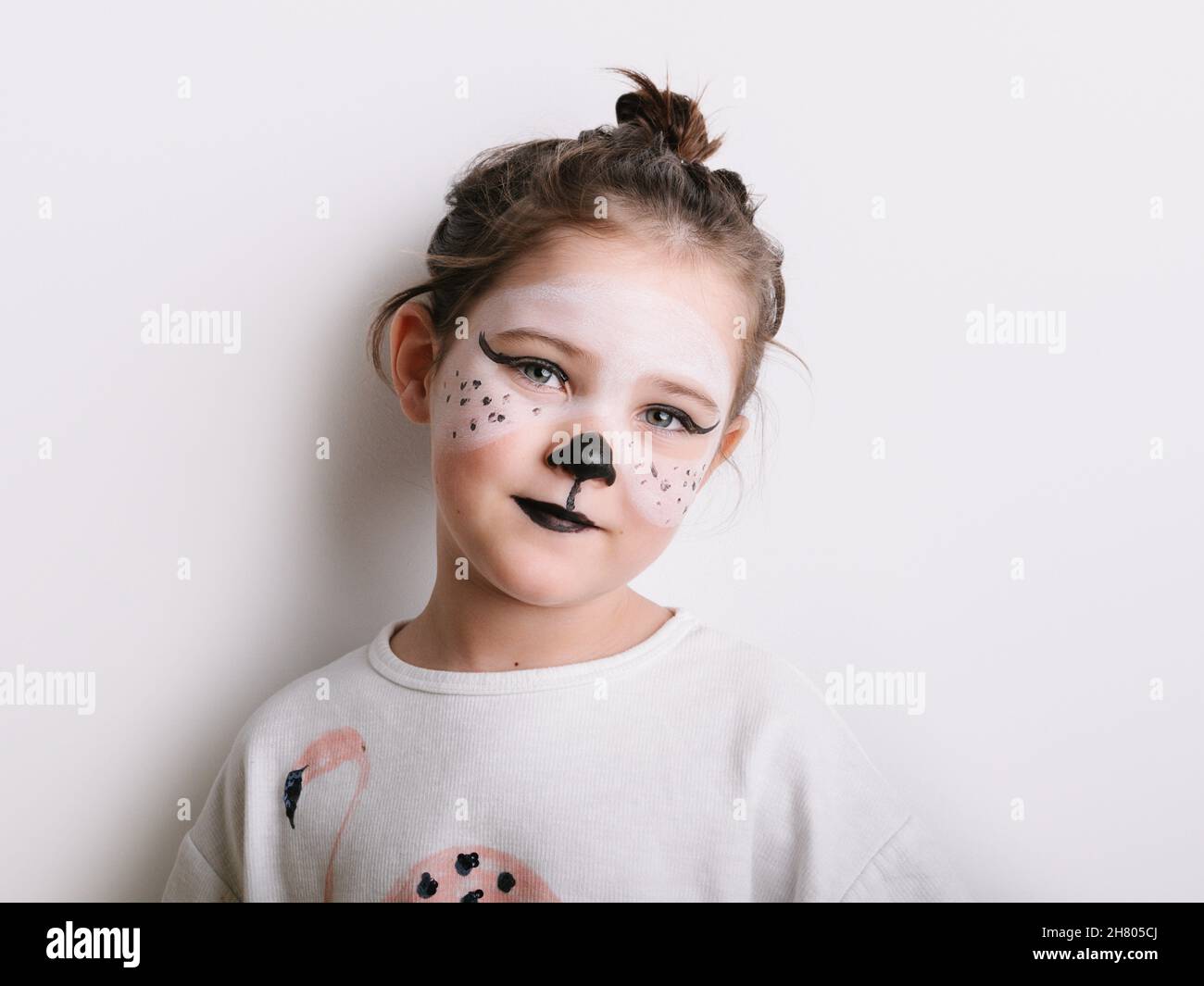 Pintura de la cara del gato fotografías e imágenes de alta resolución -  Alamy