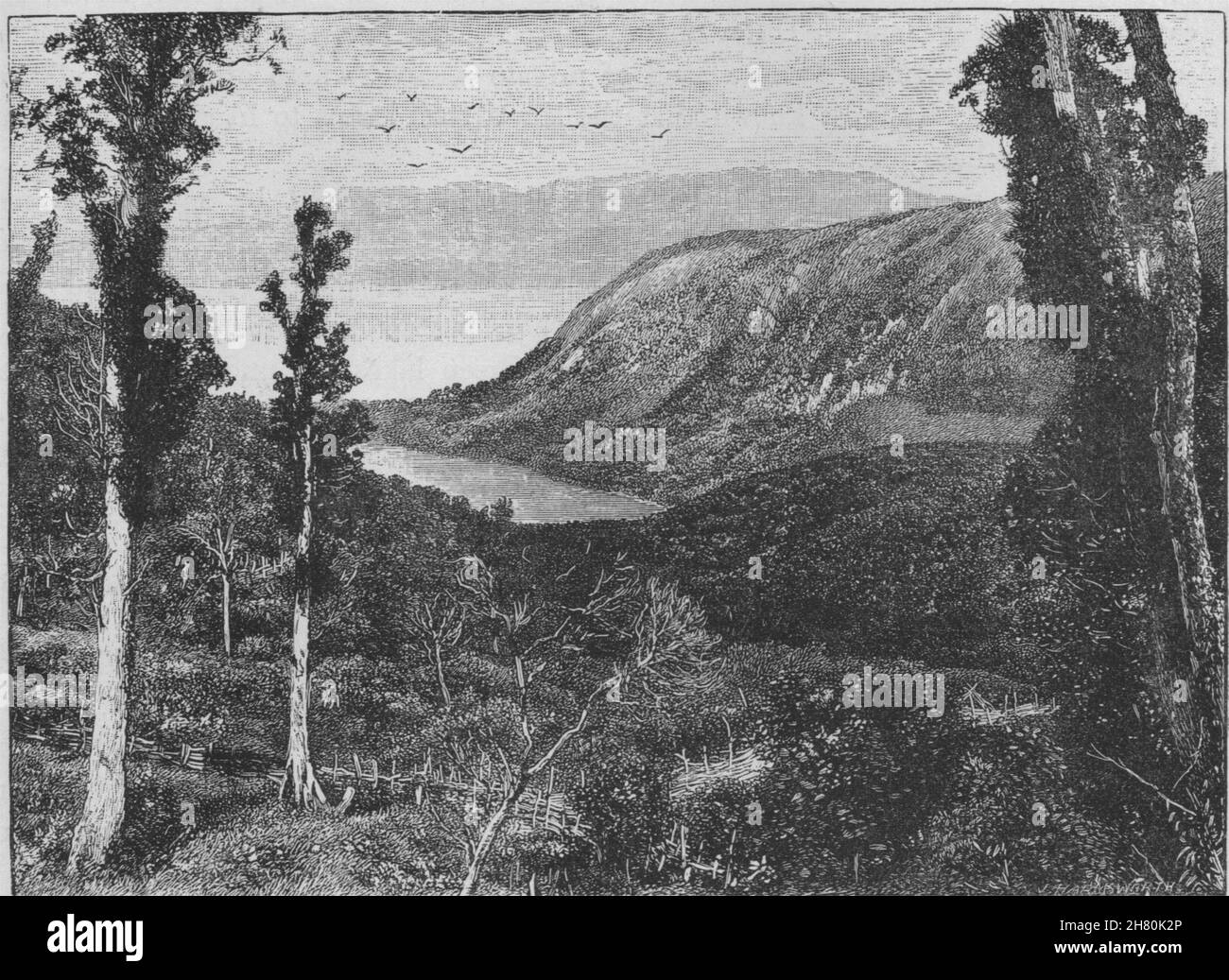 Lago Tarawera antes de la erupción. Nueva Zelandia 1890 antigua imagen