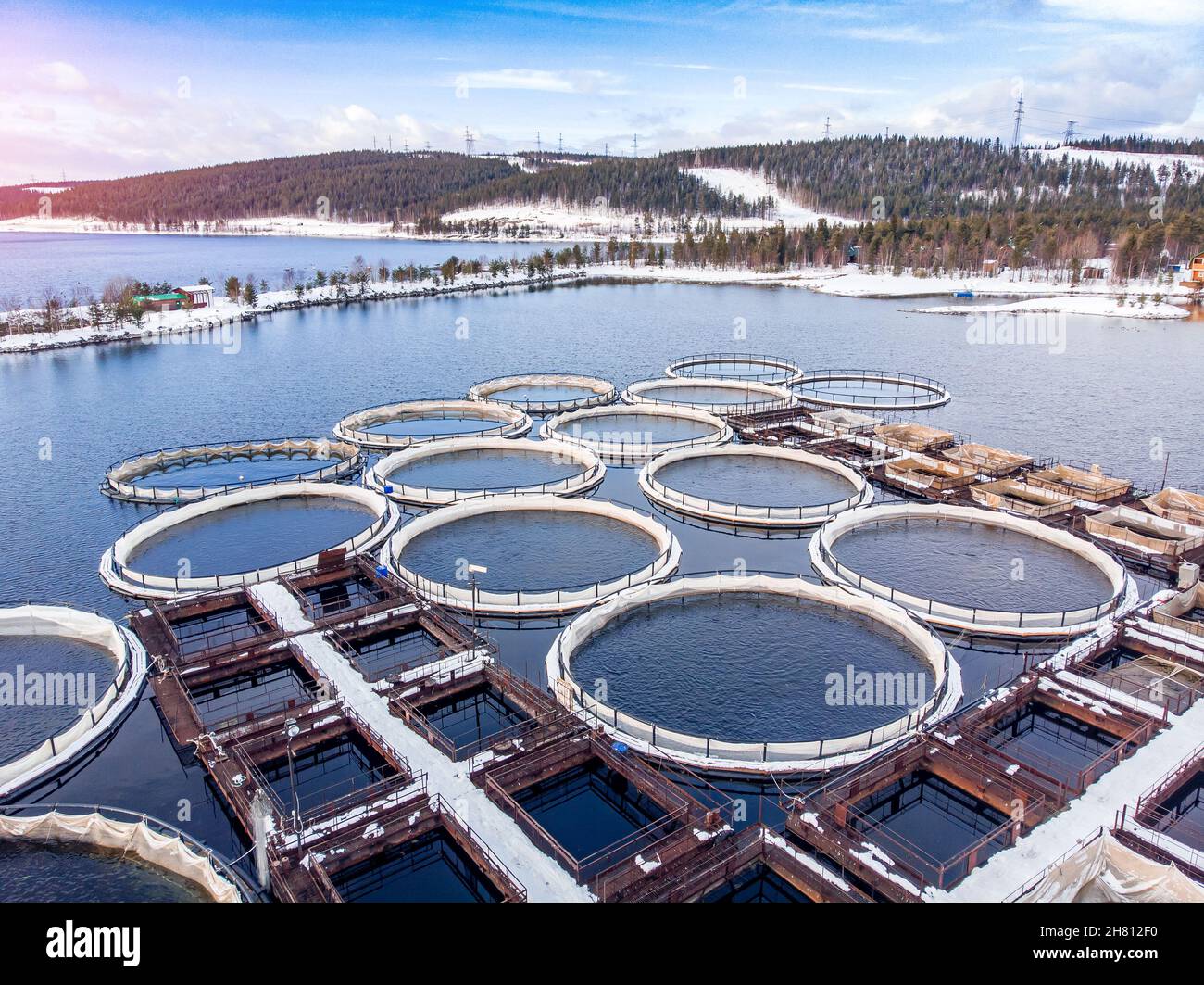 Peces de granja salmón y esturión acuacultura agua azul jaulas flotantes.  Vista superior aérea Fotografía de stock - Alamy
