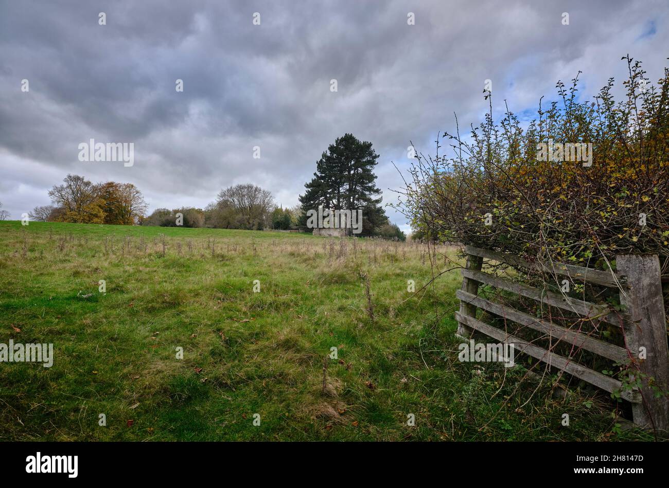 Bajo un cielo gris y pesado, una vieja valla de madera conduce a un campo que yace en barbecho y inactivo a mediados de noviembre Foto de stock