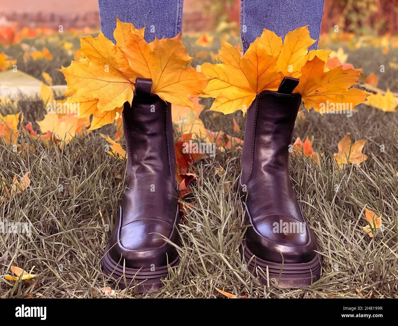 Hombre en botas de cuero marrón de pie en el charco con el otoño hojas de  arce. Temporada de otoño de moda conceptual, imagen hipster a caminar en el  parque Fotografía de