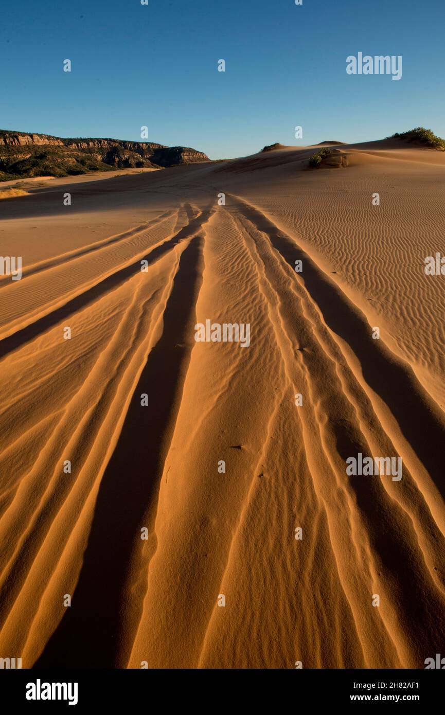 Dune las pistas de buggy en arena en el Parque Estatal Coral Pink Sand Dunes, Utah Foto de stock