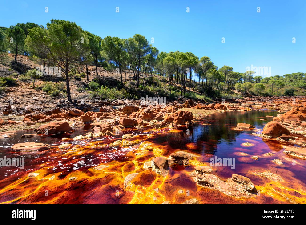 Río rojo contra bosque de pinos y cielo azul, Minas de Río Tinto, Huelva, España Foto de stock