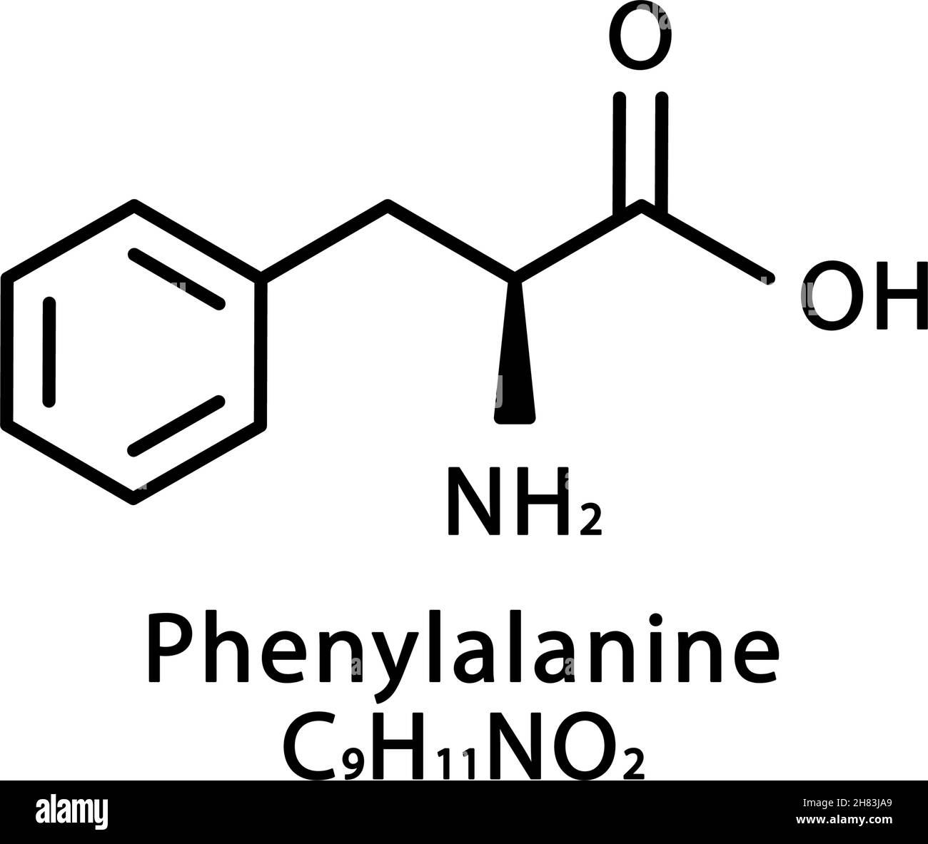 D Estrutura Da Fenilalanina
