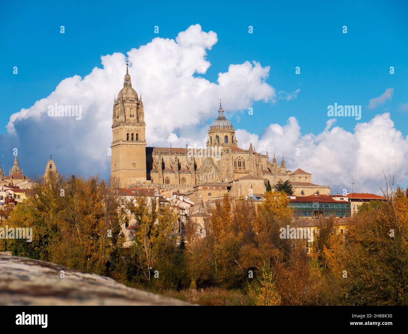Salamanca paisaje urbano con edificio de la Catedral en un soleado día de otoño Foto de stock