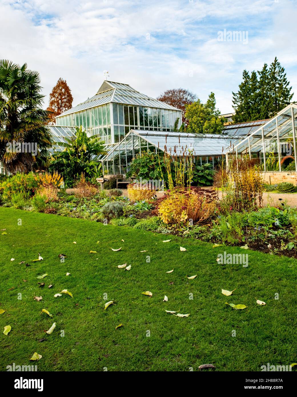 Invernaderos, casas en crecimiento y casas de vidrio situadas en los Jardines Botánicos de Cambridge Foto de stock