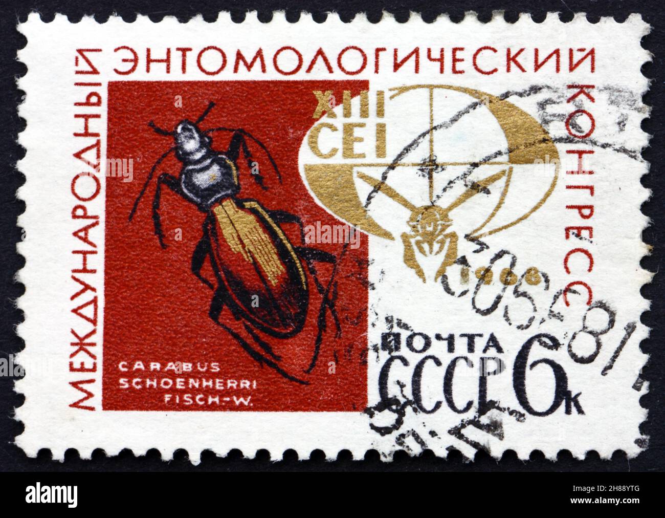 RUSIA - CIRCA 1968: Un sello impreso en la Rusia muestra Beetle Ground, Carabus Schoenherri, 13th Congreso Entomológico, circa 1968 Foto de stock