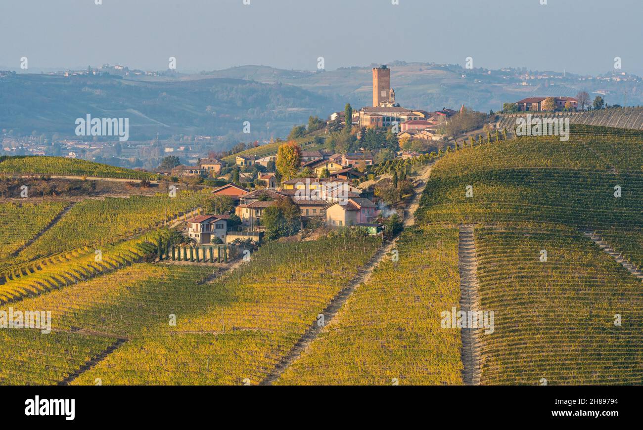 Hermosas colinas y viñedos durante la temporada de otoño que rodean Barbaresco pueblo. En la región de Langhe, Cuneo, Piamonte, Italia. Foto de stock