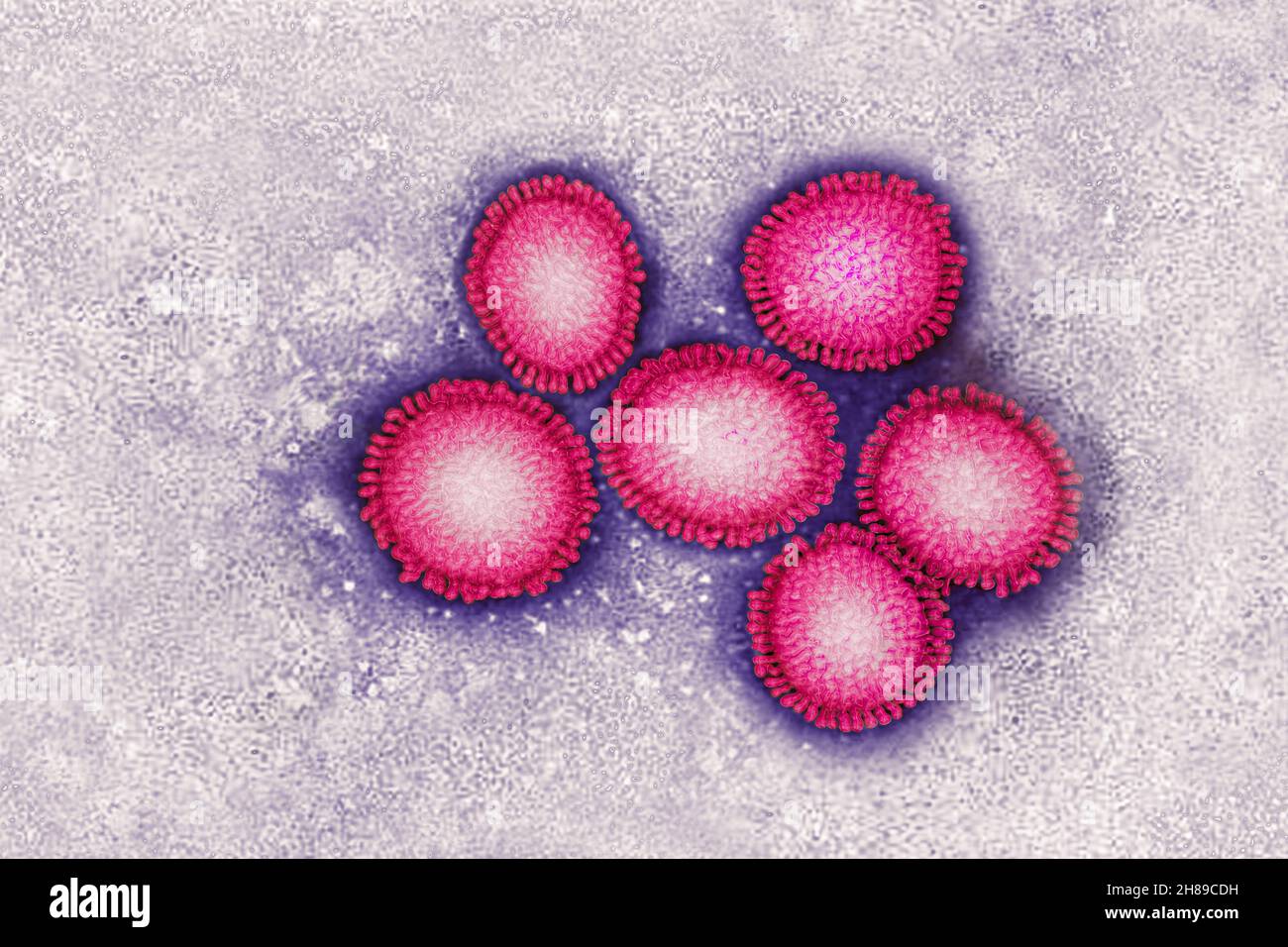 El virus de la influenza Foto de stock