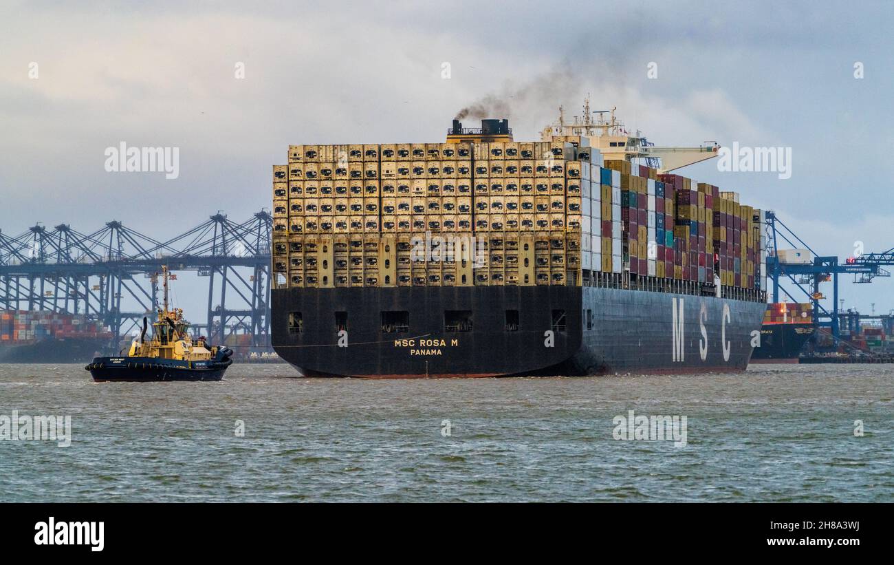Contenedores de transporte refrigerados a bordo de la parte trasera del buque de contenedores MSC Rosa M registrado en Panamá, entrando en el Puerto Felixstowe, Reino Unido Foto de stock