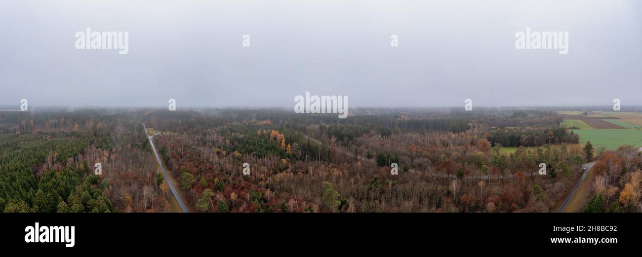Vista aérea panorámica sobre un amplio bosque de otoño. Foto de stock