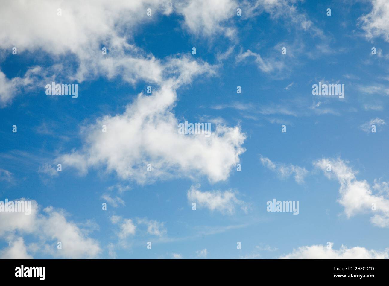Plumas y nubes fugaces adornan el cielo azul con fuertes vientos, Suiza Foto de stock