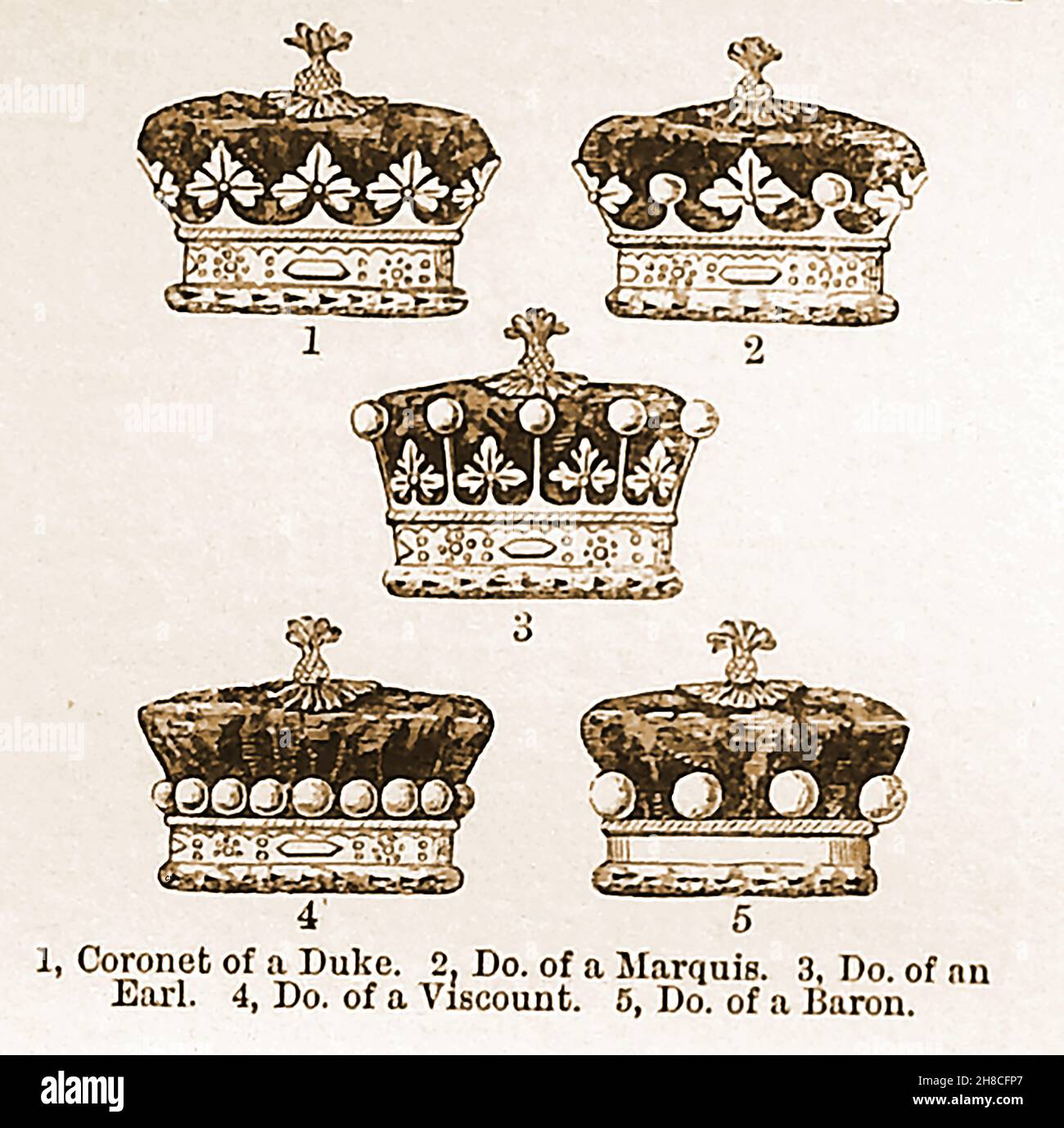 Ilustraciones del siglo 19th que muestran varias coronas / coronetas del Imperio Británico. Duke, Marquis, Earl, Viscount y Barón. Foto de stock