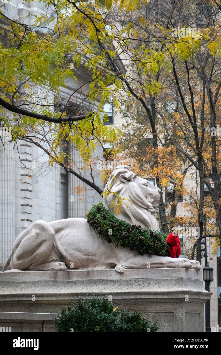 La Estatua del León con Wreath durante las vacaciones, Biblioteca