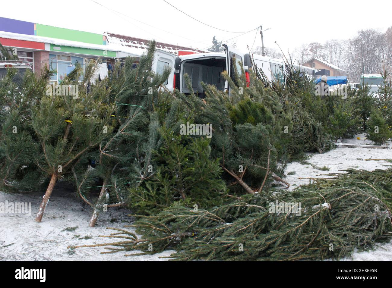Venta de árboles de Navidad en el mercado de la calle Foto de stock
