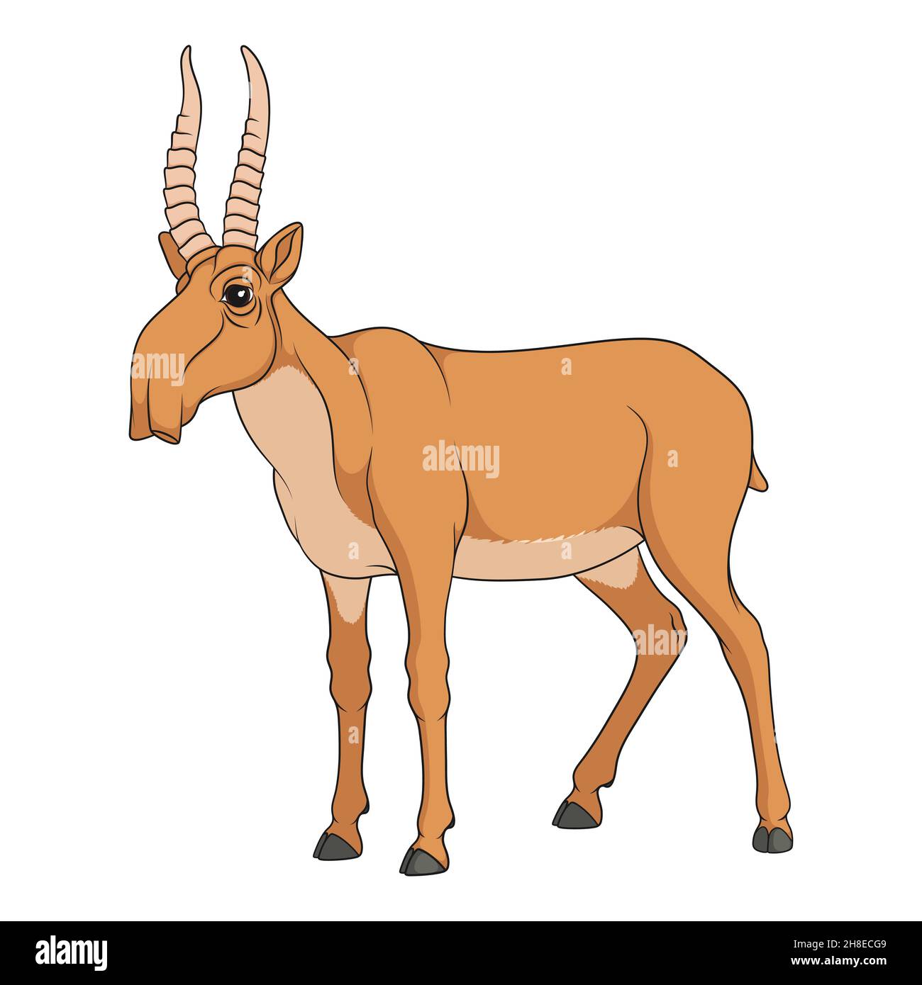 Ilustración en color con la imagen del antílope saiga. Objetos vectoriales aislados sobre fondo blanco. Ilustración del Vector