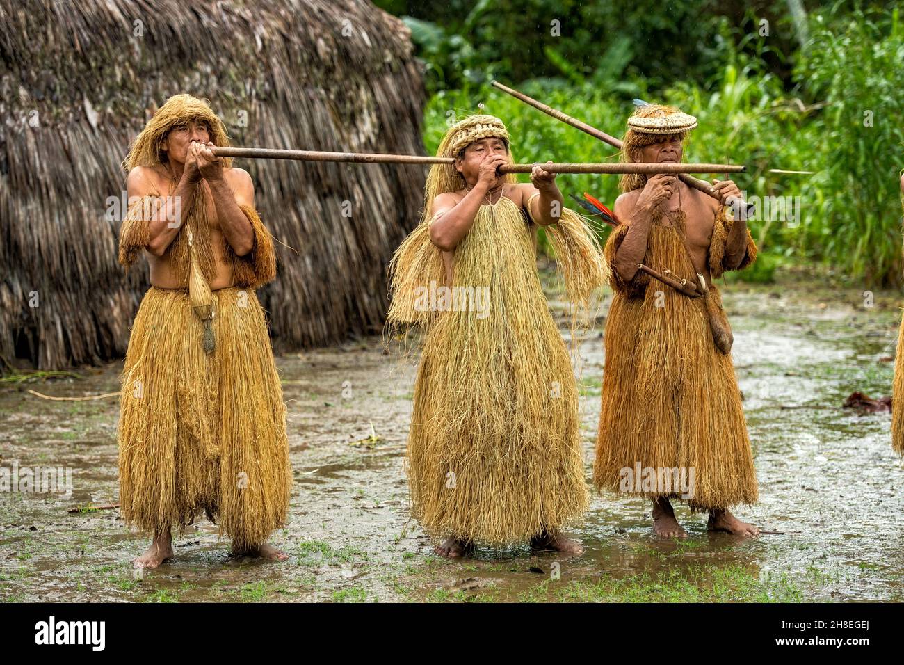 Miembros de la tribu india Yagua que demuestran el uso de la Pucuna, más comúnmente conocida como la pistola de aire Foto de stock