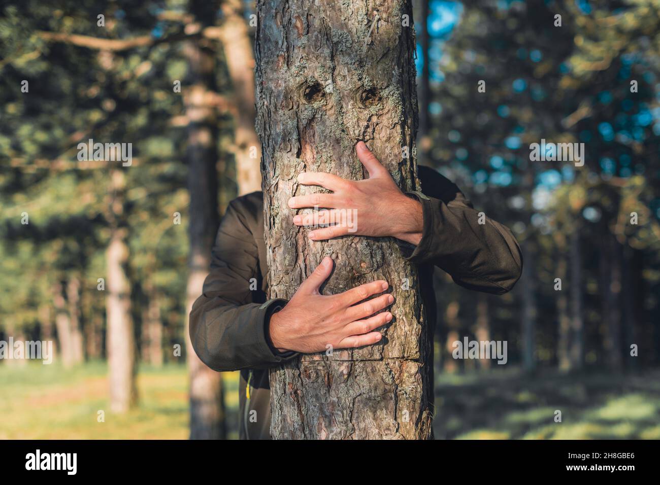Científico de la conservación abrazando árbol pino negro en el bosque, amor y dedicación al medio ambiente, enfoque selectivo Foto de stock