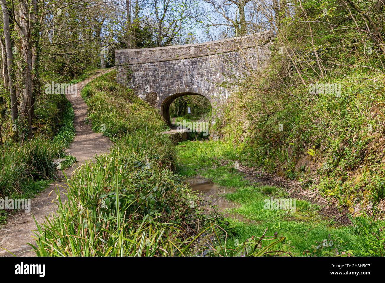 Mirando a lo largo del histórico canal Rolle hasta el antiguo puente de Roving en Beam con el sendero del lado del canal. Torrington Commons, Great Torrington, Devon, Inglaterra Foto de stock