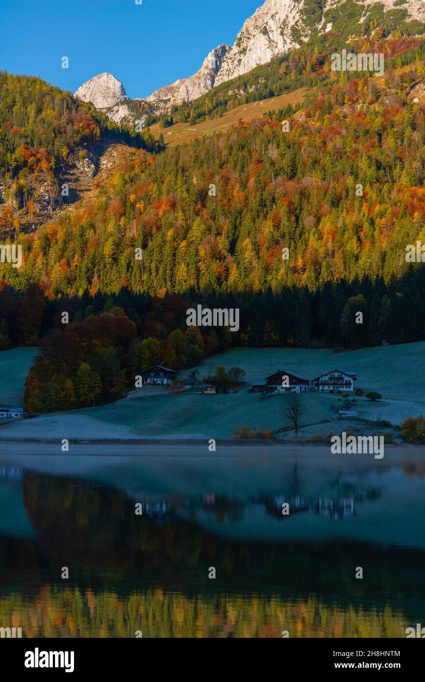Lago Hintersee en una mañana helada temprano en octubre con sus fantásticos colores otoñales, Ramsau cerca de Berchtesgaden, Alta Baviera, Sur de Alemania Foto de stock