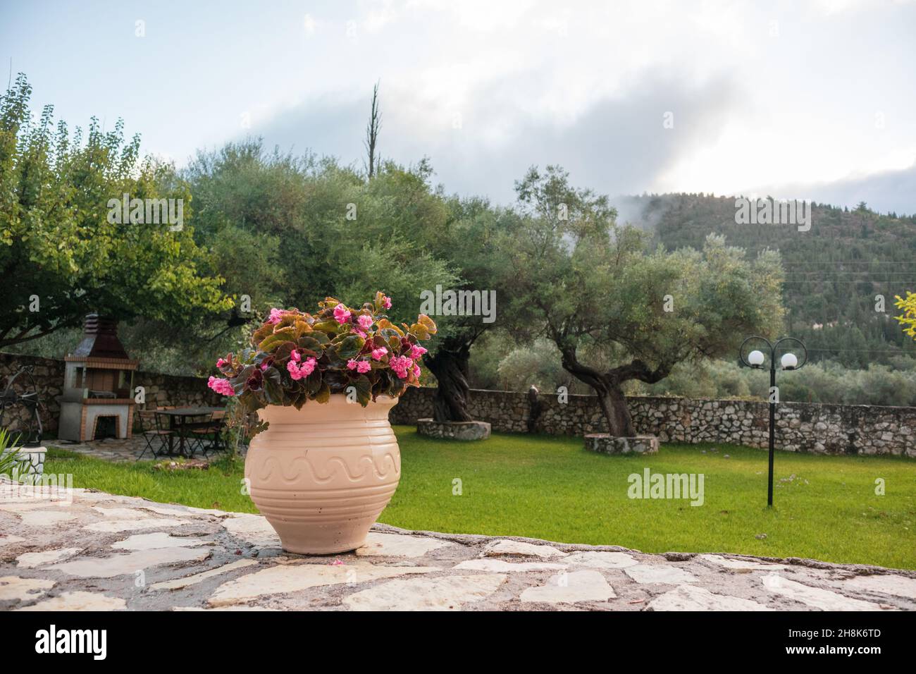 Jarrón grande con flores rosas en verde veraniego tradicional jardín griego con olivos y colinas nubladas. Viajes de verano lugares detalles de la arquitectura Foto de stock