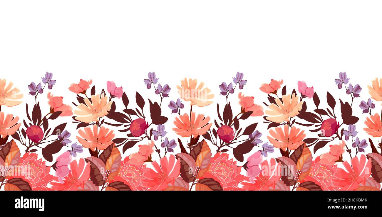 Vector floral sin costuras patrón, borde. Achicoria, flores de peonía, brotes. Ilustración del Vector