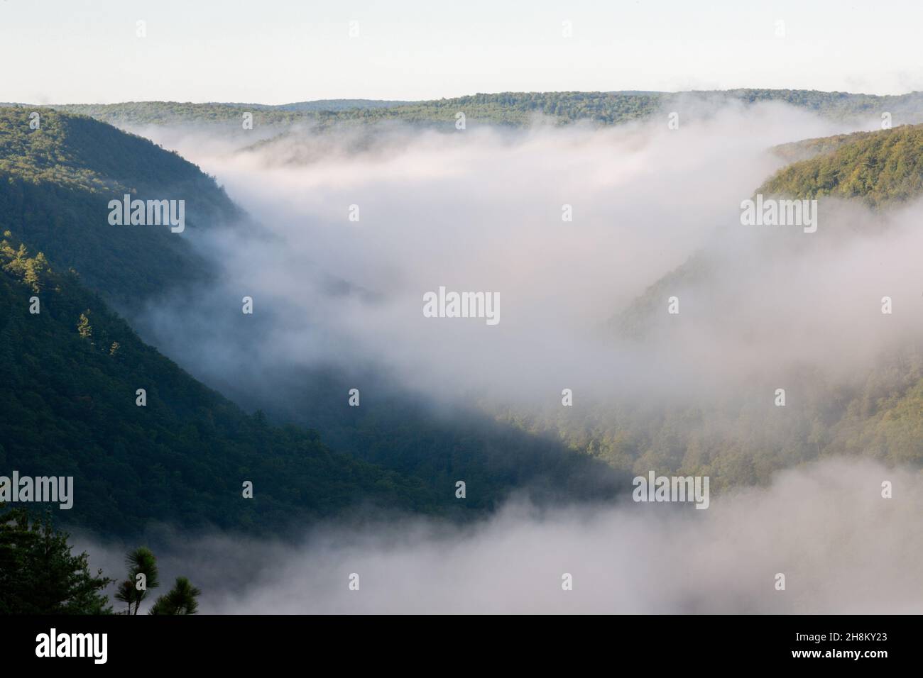 Pine Creek Gorge, Gran Cañón de Pennsylvania, Estados Unidos. Foto de stock