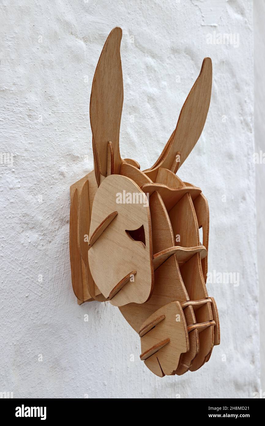 Burro pared online