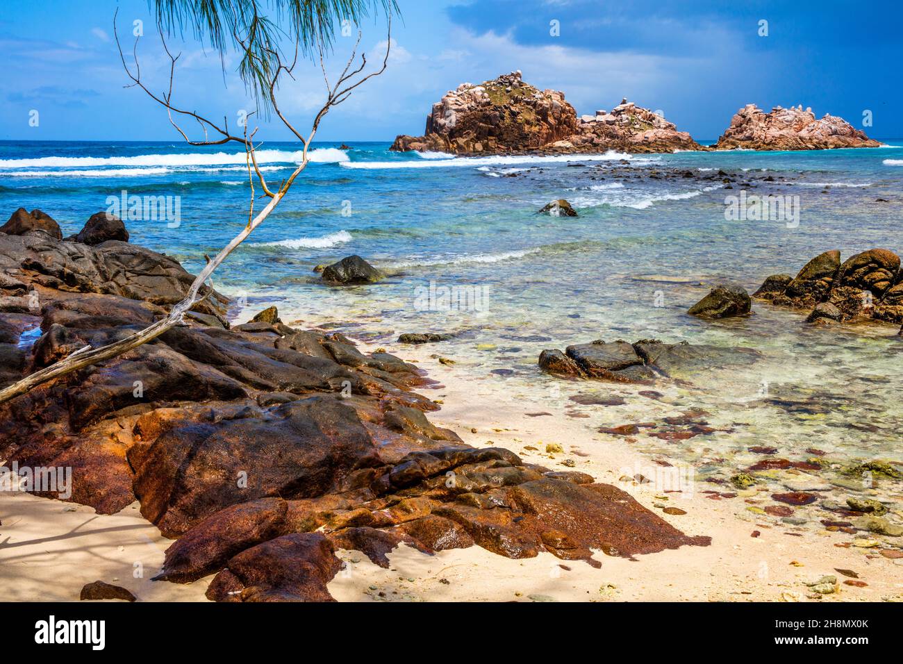 Santuario de Aves, Isla de los Primos, Seychelles, Cousin, Seychelles Foto de stock