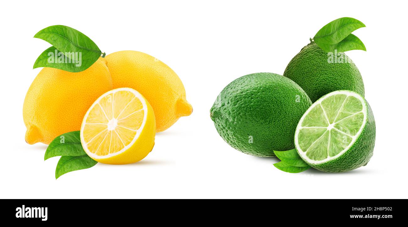 Que Diferencia Hay Entre El Limon Verde Y Amarillo Dos limones aislados fotografías e imágenes de alta resolución - Página 4 -  Alamy