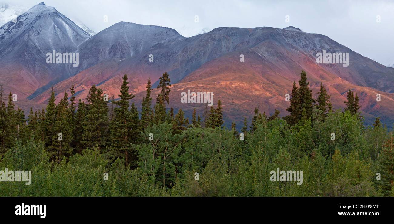 Una montaña iluminada por el sol en Haines Junction en el Yukon, Canadá. El pico en el Parque Nacional y Reserva Kluane se eleva sobre el bosque. Foto de stock