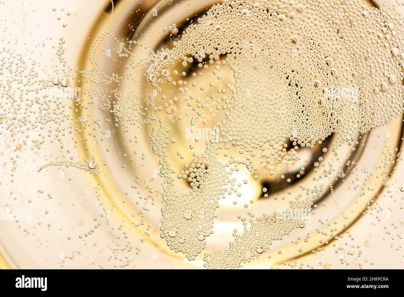 Macro de champán en una copa de vidrio, vino espumoso, champán, burbujas, detalle, ascender, múltiple, blanco, fondo Foto de stock