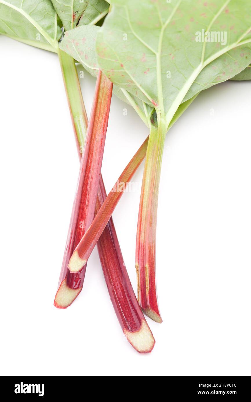 Ruibarbo con hojas aisladas sobre ruibarbo de fondo blanco, tallos, verduras, rojo, verde, Hoja, corte, fibra, jardín, Interior Foto de stock