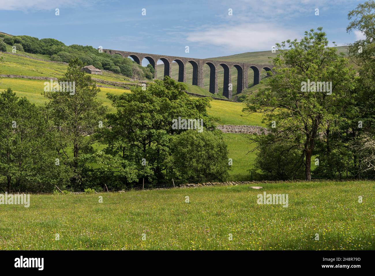 Vista de nivel bajo del viaducto de Denthead en el ferrocarril Settle-Carlisle a través de North Yorkshire y Cumbria; prado de heno de estilo antiguo y árboles en primer plano Foto de stock