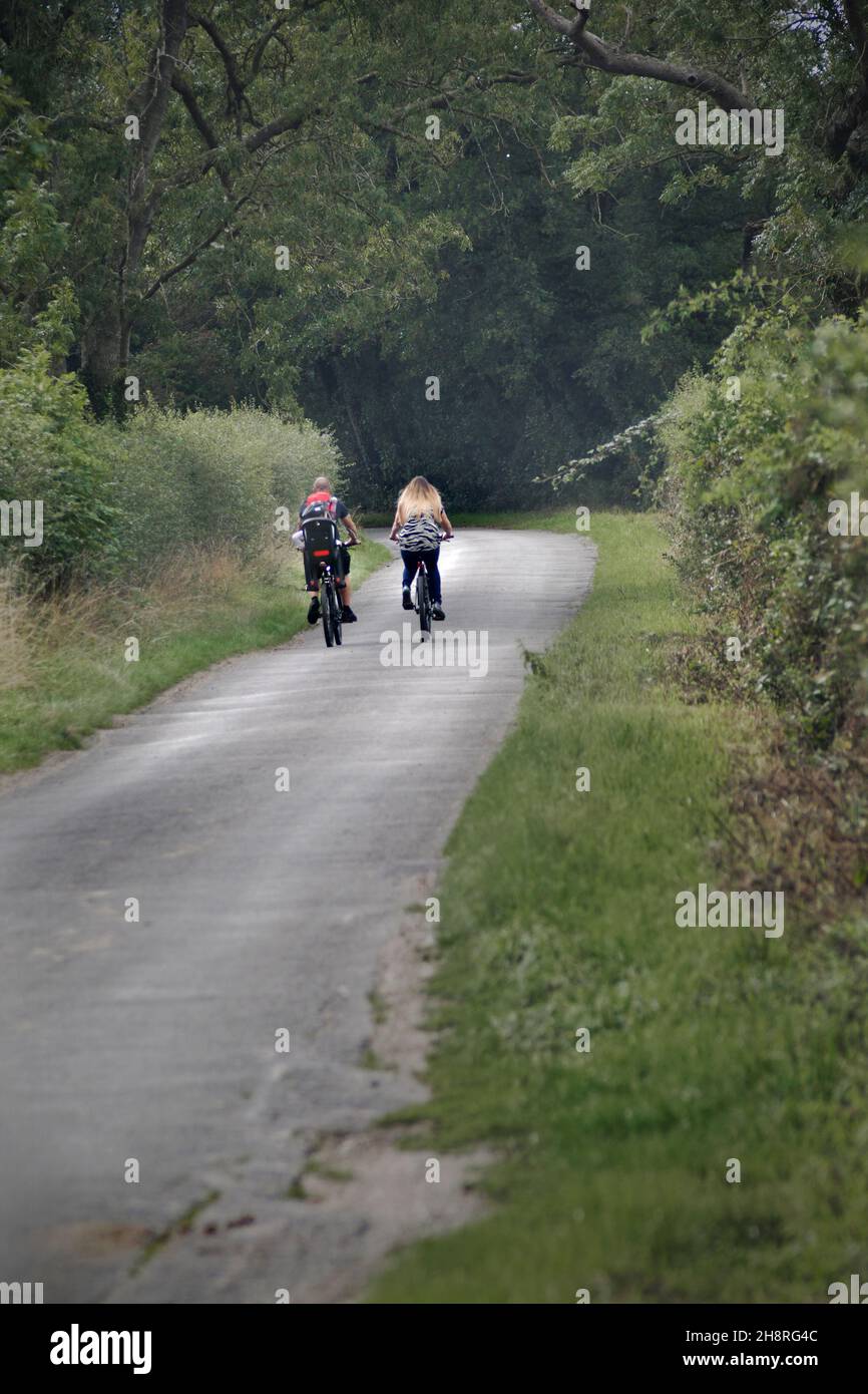 hombre mujer y niño en silla de bicicleta en bicicleta por la pequeña carretera de campo estrecho mettingham suffolk inglaterra Foto de stock