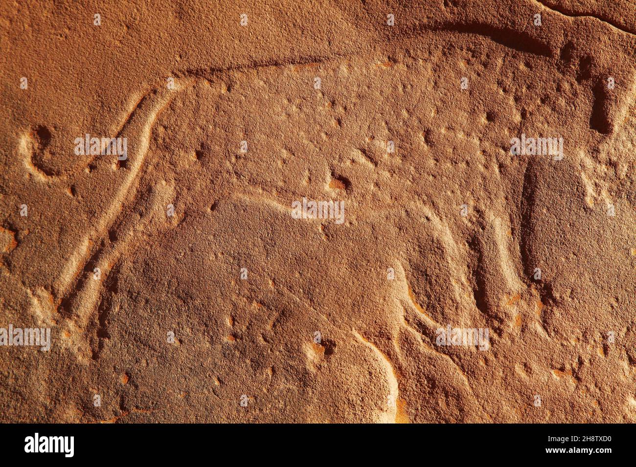 Rocas antiguas grabado en el desierto de Sahara, Tadrart, Argelia Foto de stock