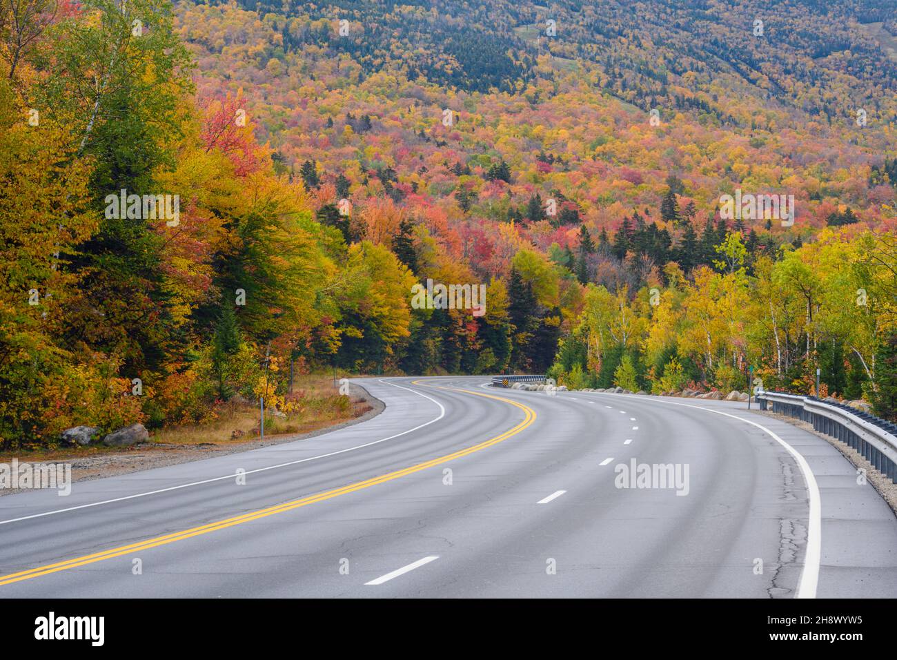 Autopista 16 y follaje otoñal, autopista 16 cerca de Pinkham Notch, New Hampshire, Estados Unidos Foto de stock