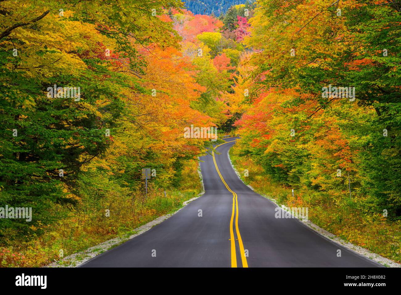 Bear Notch Road en otoño, New Hampshire, Estados Unidos Foto de stock