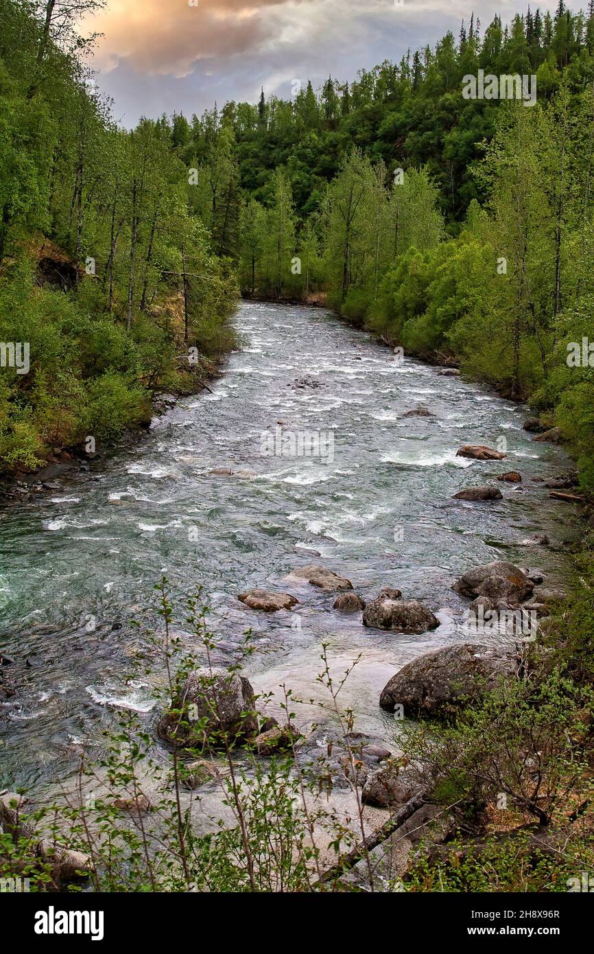 Río que fluye a través del paisaje escénico de Alaska Foto de stock
