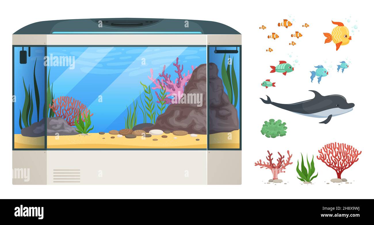 Conjunto de animales marinos de dibujos animados Imagen Vector de stock -  Alamy