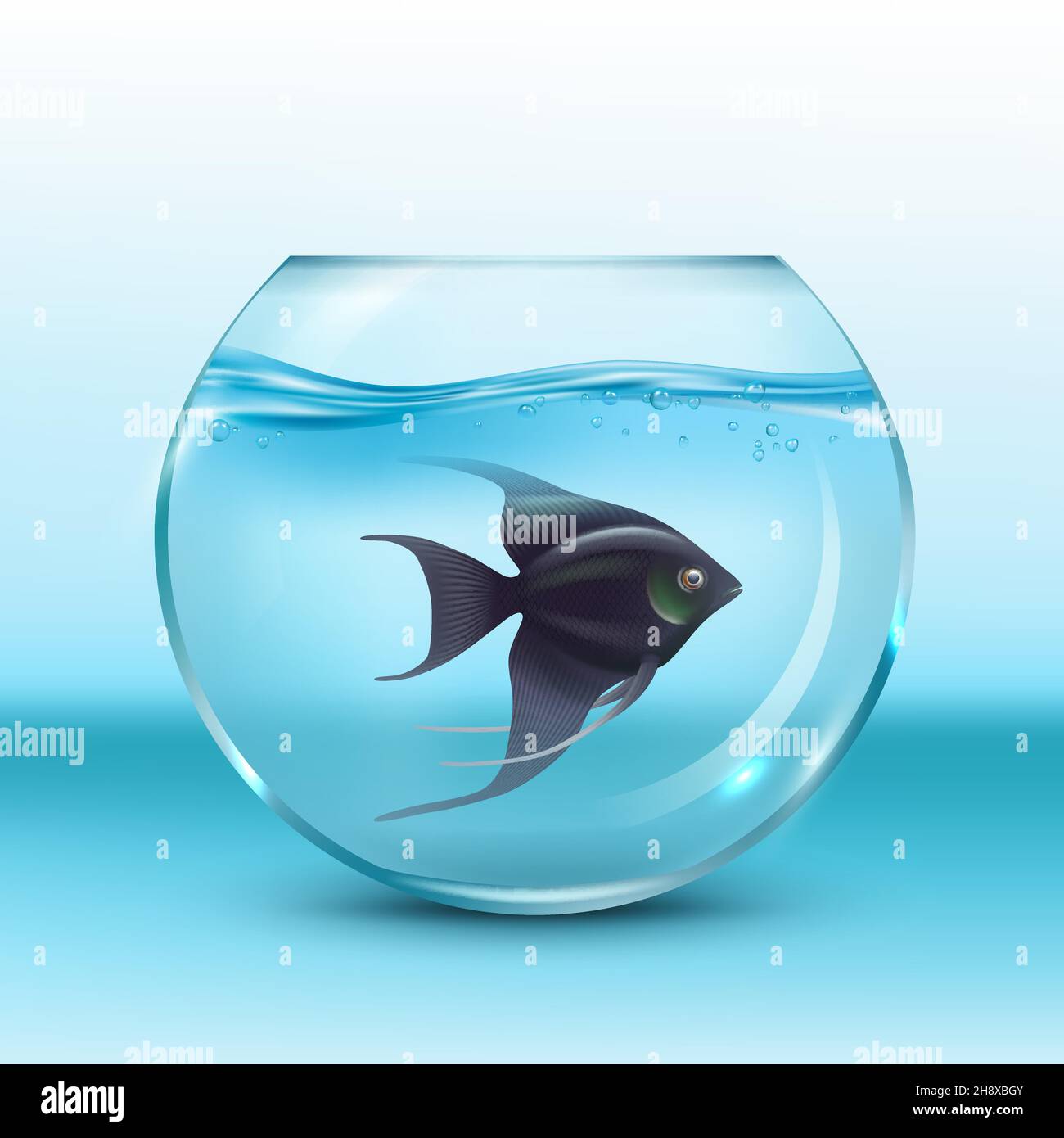 Pecera Imágenes vectoriales de stock - Alamy Pecera Imágenes vectoriales de stock - Alamy