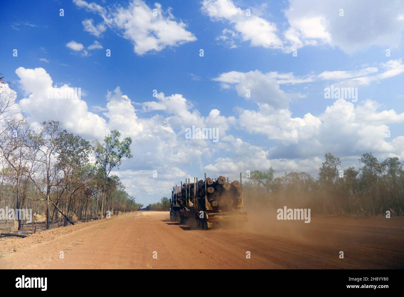 Camión maderero que transporta troncos de madera dura muy grandes al sur a lo largo de la Península Development Road, Península de Cape York, Queensland, Australia. Sin PR Foto de stock