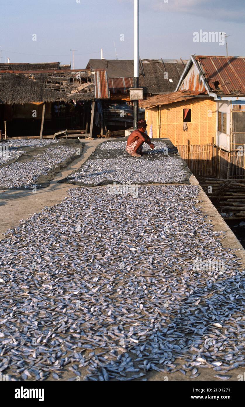 Makassar o Ujung Pandang, secando pescado. Sulawesi, Indonesia. Foto de stock